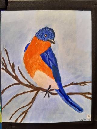 Punatulkku oli Taina Godfreyn ensimmäisiä töitä.