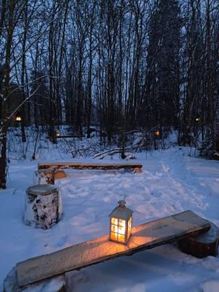 Lyhtyjä sahatuilla penkeillä metsäalueella