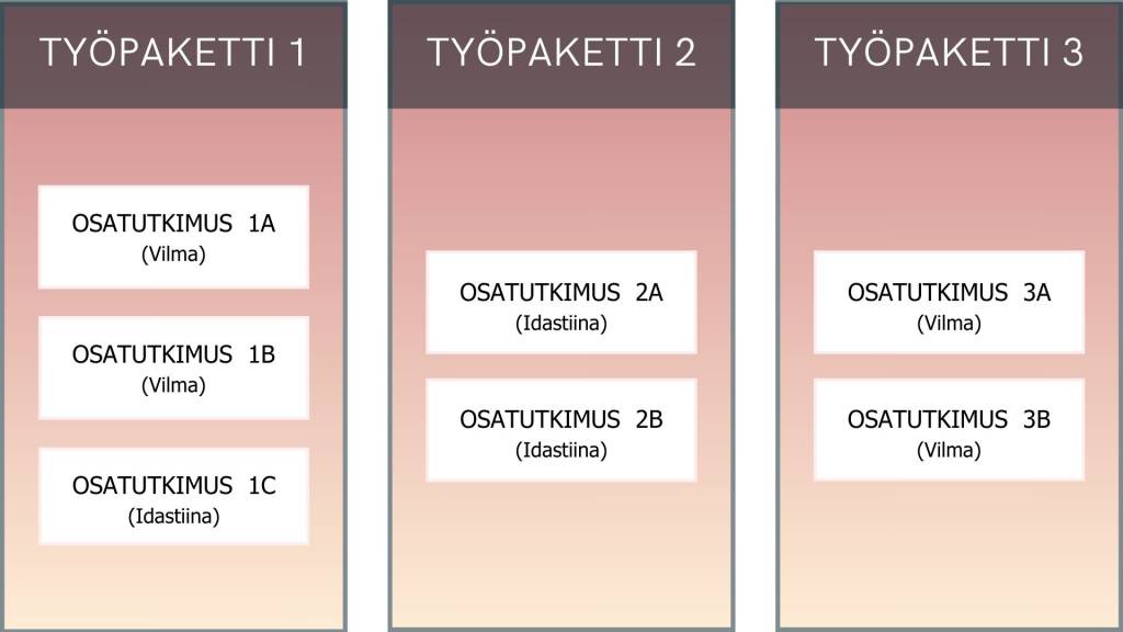 Kuvassa on kolme laatikkoa, jotka on otsikoitu Työpaketti 1, Työpaketti 2 ja Työpaketti 3. Kuva havainnollistaa että Työpaketti 1 koostuu kolmesta osatutkimuksesta ja työpaketit 2 ja 3 kukin kahdesta osatutkimuksesta. Vilma vastaa osatutkimuksista 1a, 1b, 3a ja 3b. ja Idastiina osatutkimuksista 1c, 2a ja 2b.