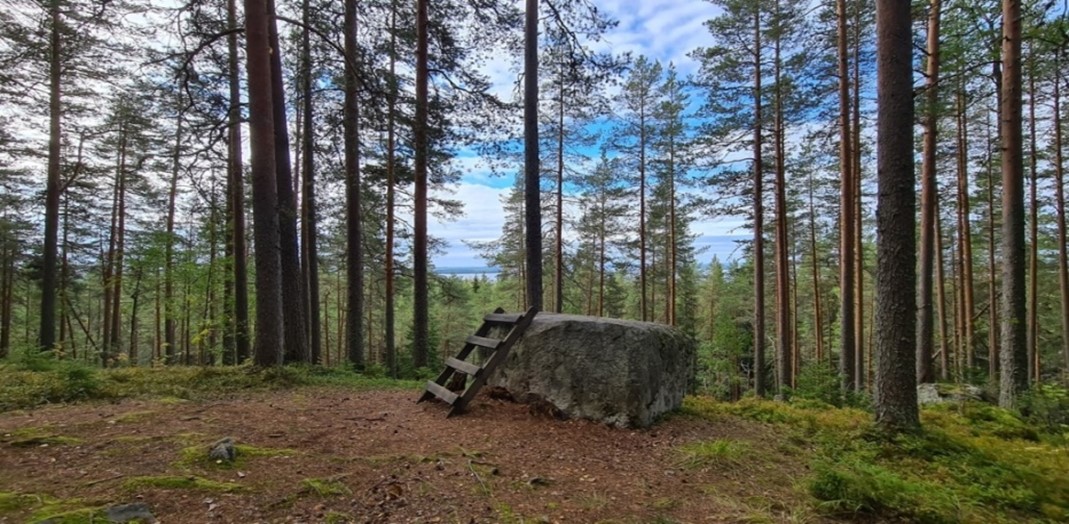 Metsässä kivi ja puiset tikkaat.