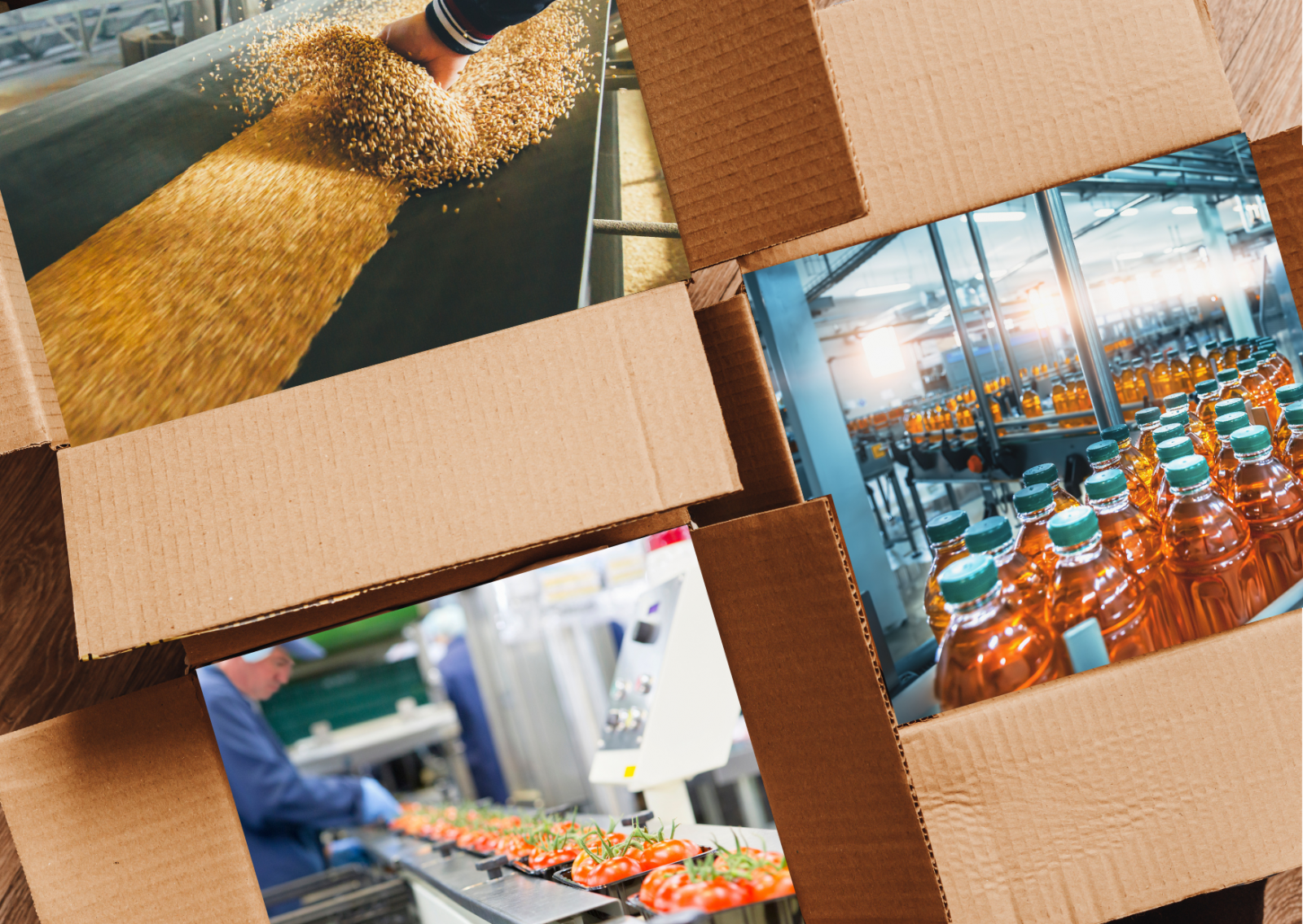 Kolmessa pahvilaatikossa kuvattuna erilaisia teollisia linjastoja, tomaattien pakkauslinjasto, limsapullojen linjasto ja viljaa kuljettava linjasto.