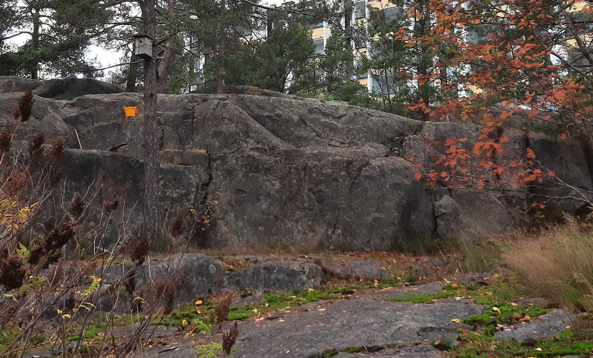 Kallioita metsässä ja linnunpönttö