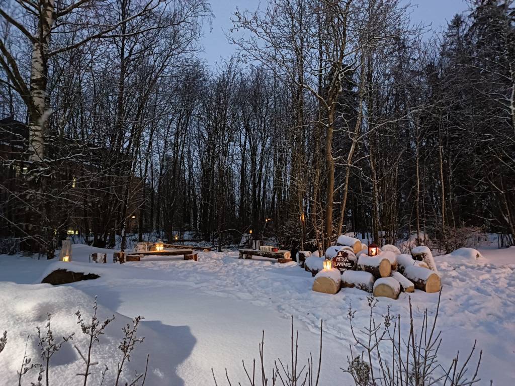 Metsälämpäre lumisena ja lyhdyin koristeltuna
