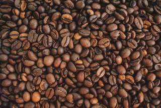 Lots of coffee beans