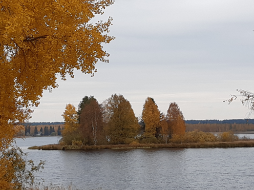 Syksyinen järvimaisema