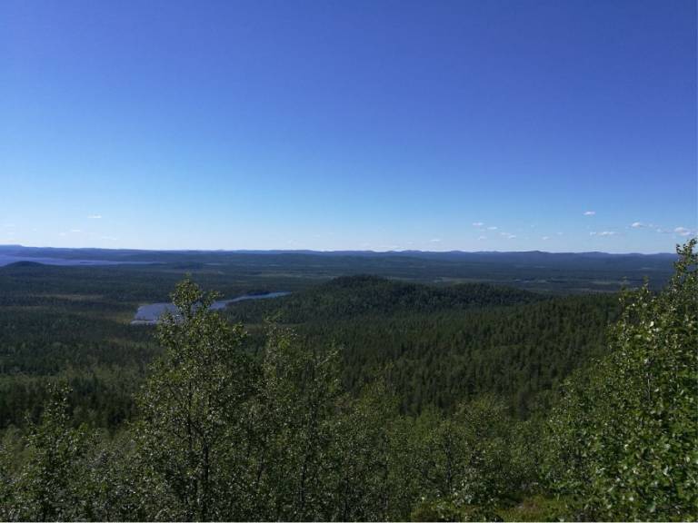 Metsämaisemaa ja taivasta korkealta katsottuna