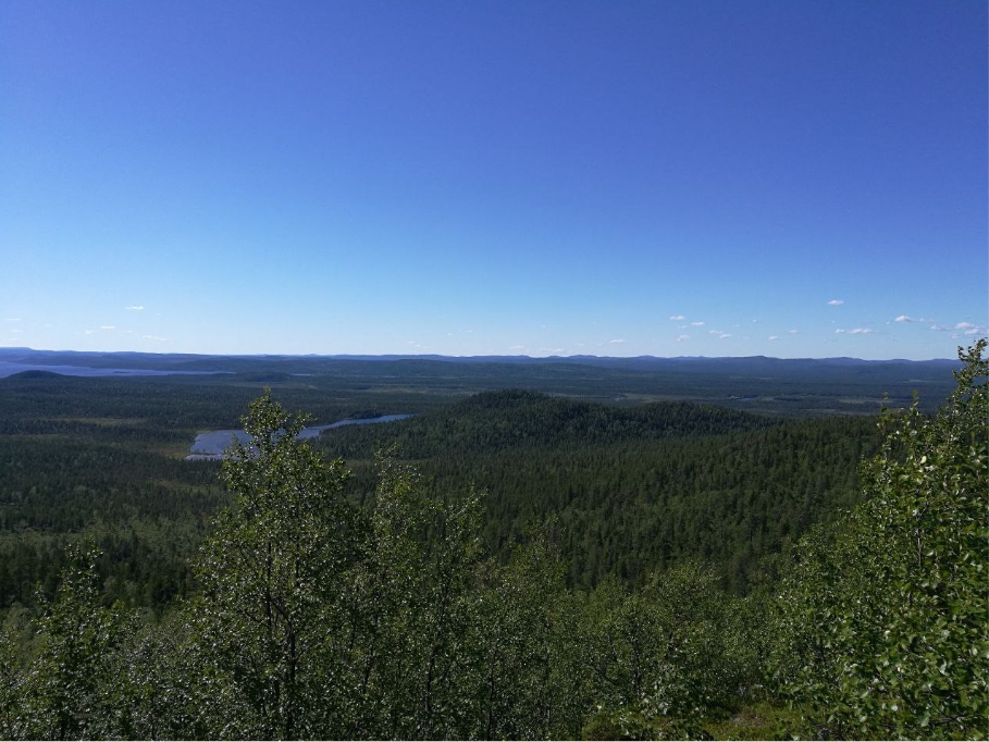 Metsämaisemaa ja taivasta korkealta katsottuna
