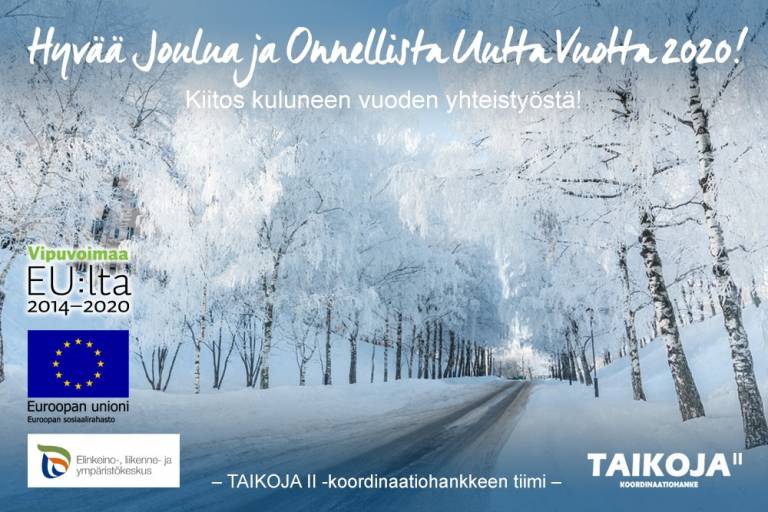 Joulukortti, hyvää joulua ja onnellista uutta vuotta 2020. Taikoja 2 koordinaatiohankkeen tiimi.