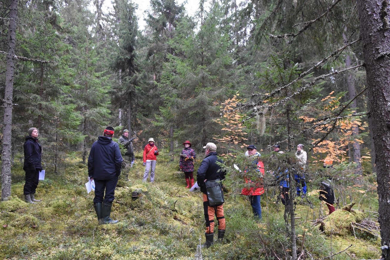 Maastokoulutus Padasjoella