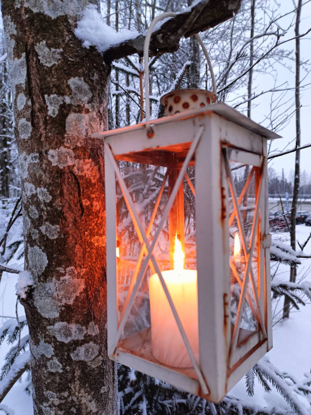 Lyhty koivun oksassa