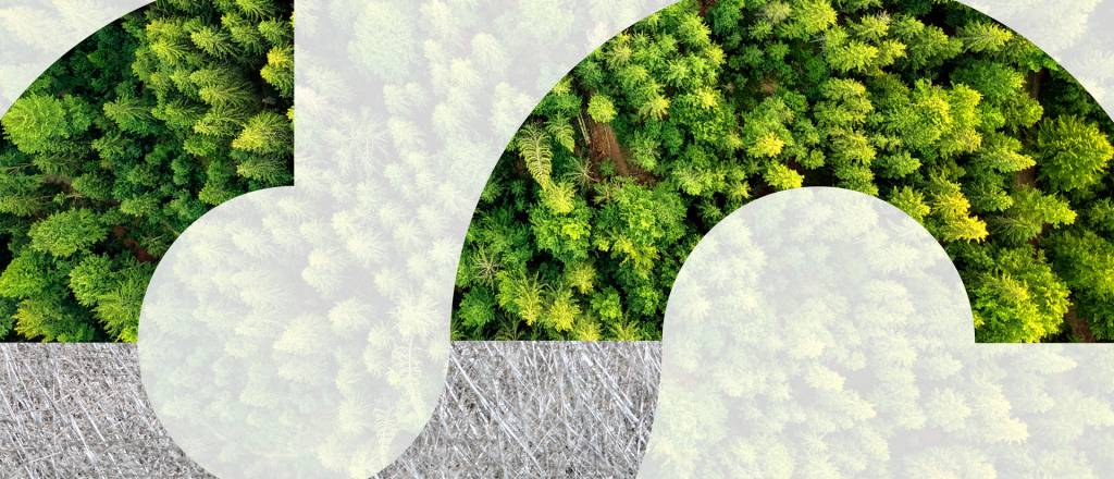 Wood and non-woven fabric with an artistic S on top of them.