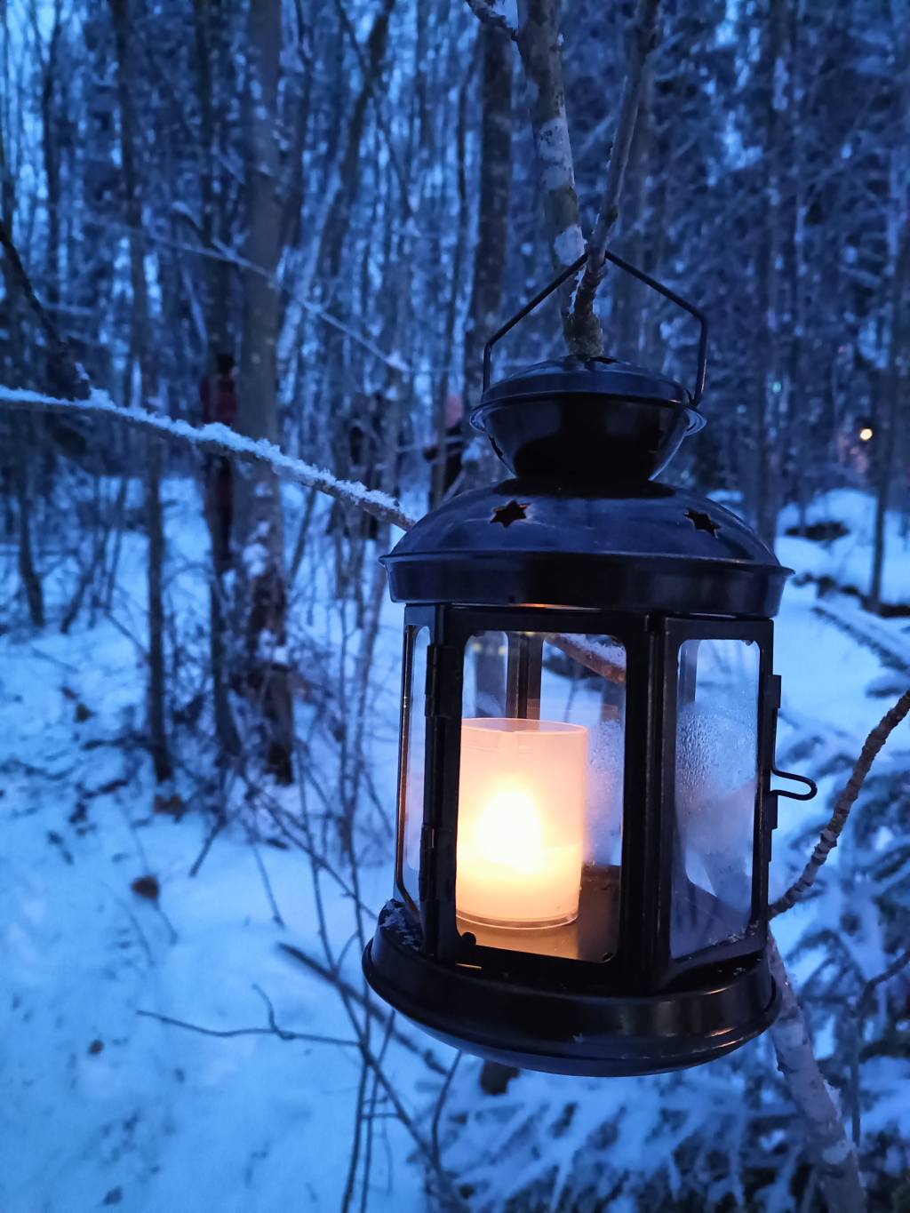 Musta lyhty roikkuu oksasta