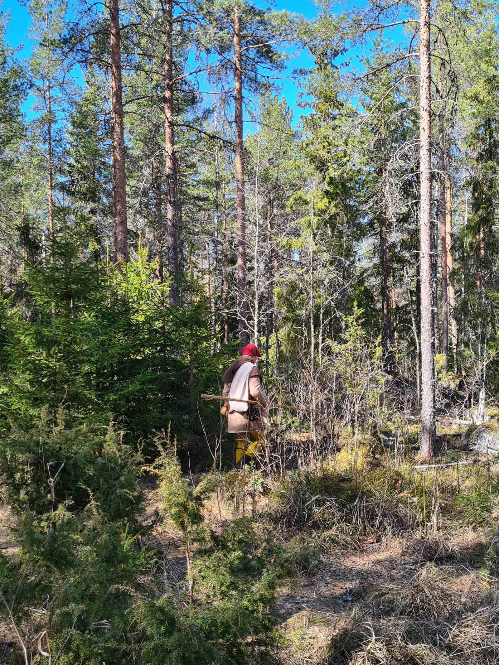 Keskiajan elävöittäjä keväisessä metsässä