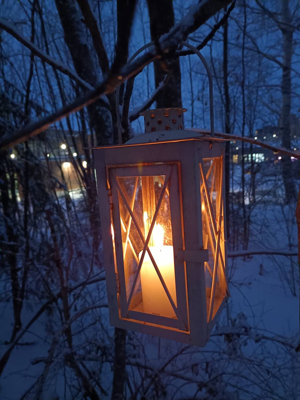 Lyhty pimeässä aamussa puun oksalla