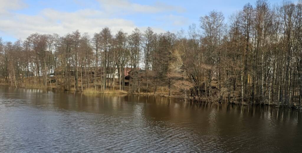 Valokuva, joka esittää Köyliönsaaren rantaa, jossa näkyy puita ja muutamia 1900-luvun maatalousrakennuksia. 