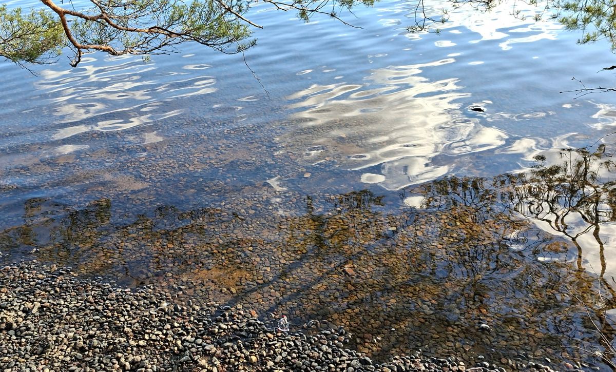 Kuva järvenrannasta.