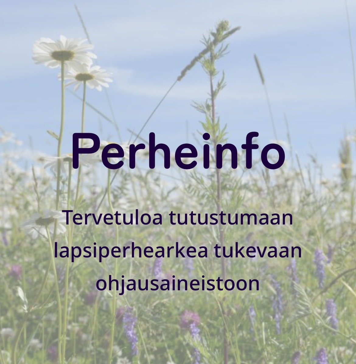 Kuva niitystä ja sen päällä teksti "Perheinfo"