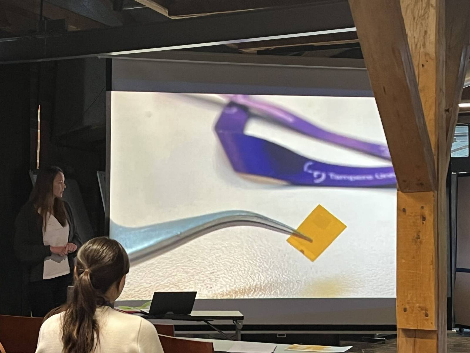 Ninja Kajas at DELTA Network event in Turku