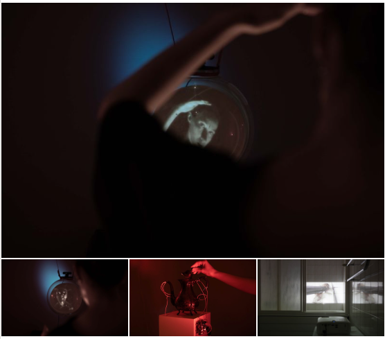 proliferation of black flies (MÄKÄRÄINEN) in the Imatra region