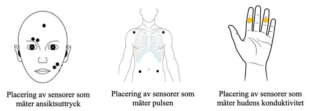 Placering av sensorer: fem på ansiktet, fyra i överkroppen och två i fingrar.