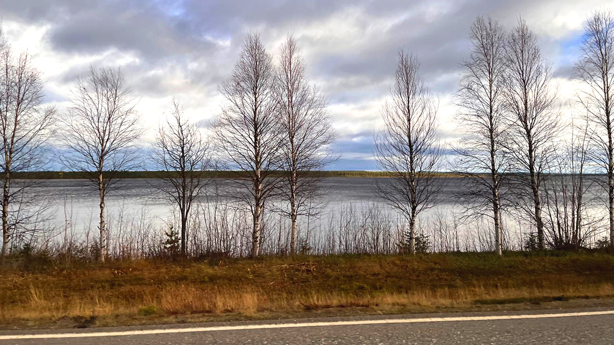 Järven rannalla kasvaa rivi koivuja, vastarannalla näkyy tuntureita. Etualalla on kaistale maantietä, joka kulkee järven vieressä.