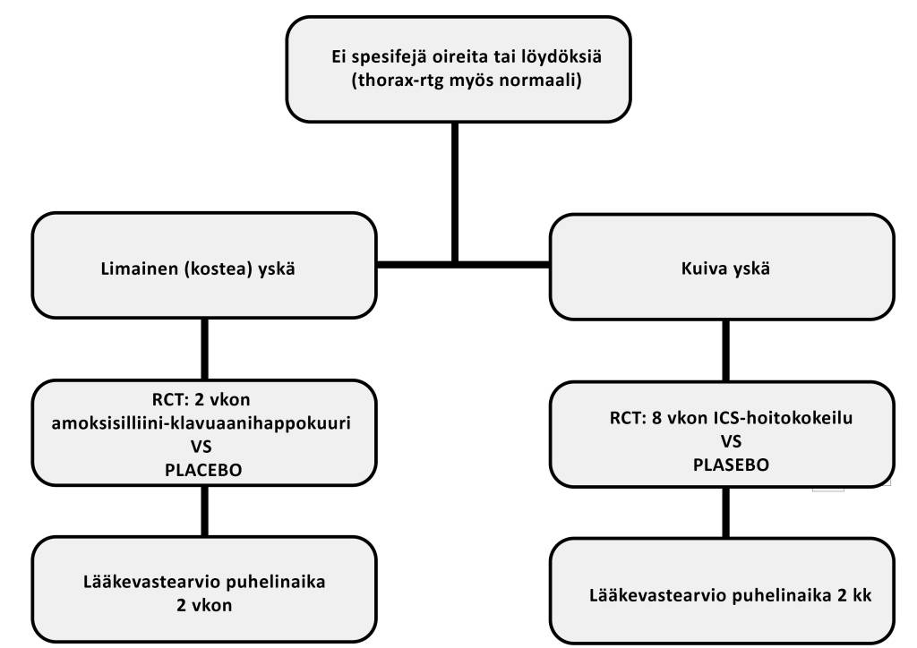 Yskän taustaasyy kaavio