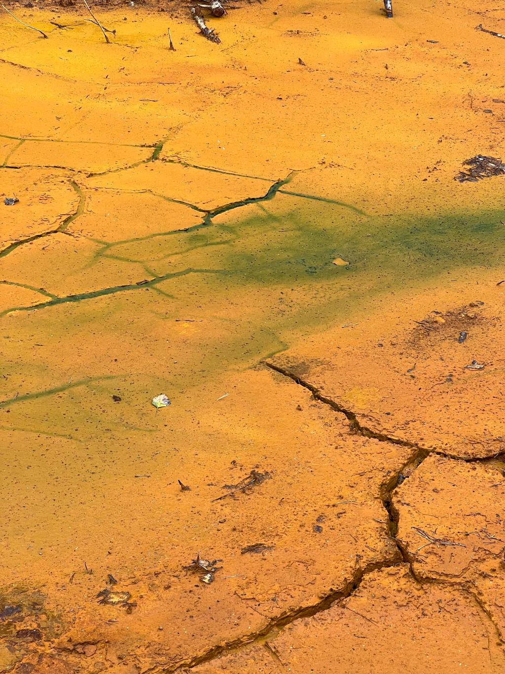 photo of a copper-colored lake bottom