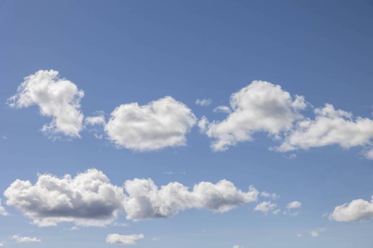 uraohjauspäivä kuva