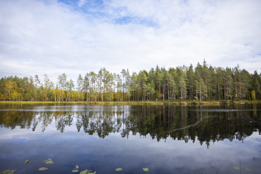 Kuva järvimaisemasta