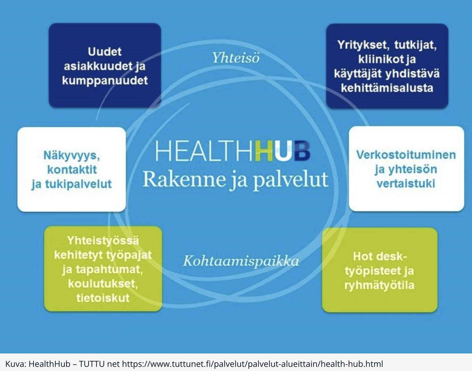 HealthHub rakenne ja palvelut