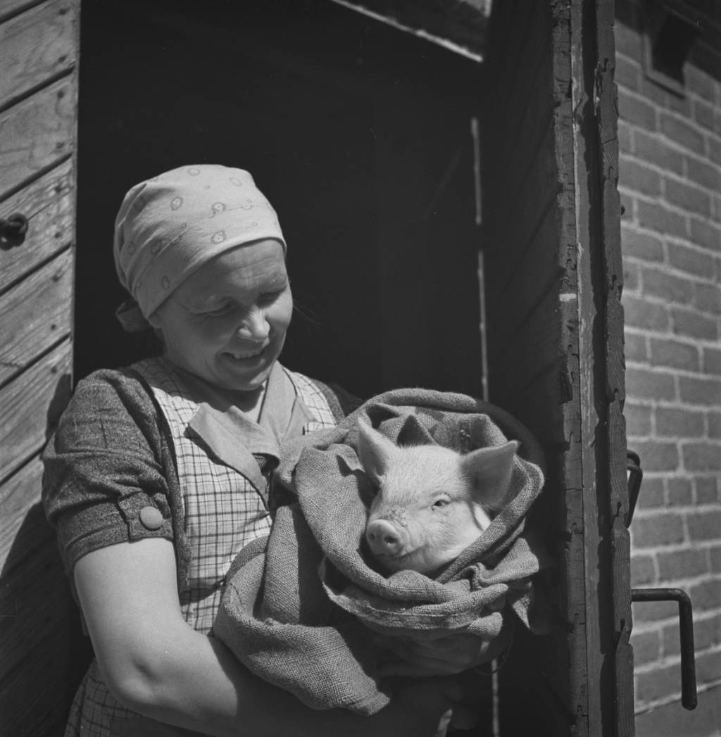 Pekka Kyytinen, 1930-1939. Kansatieteen kuvakokoelma. Museovirasto. Finna.fi