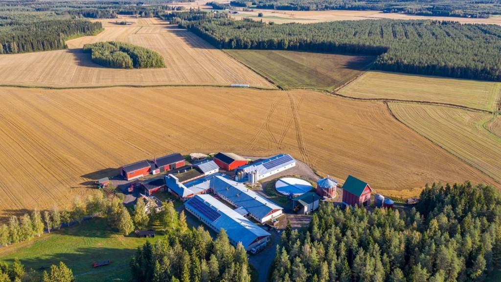 Iso-Tuisku farm