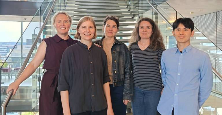 Picture of all the project researchers standing in a staircase, posing for the camera and smiling