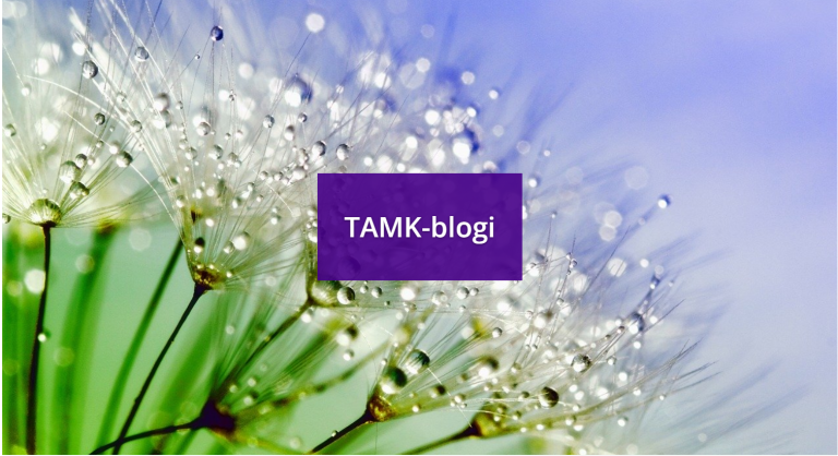 TAMK-blogi