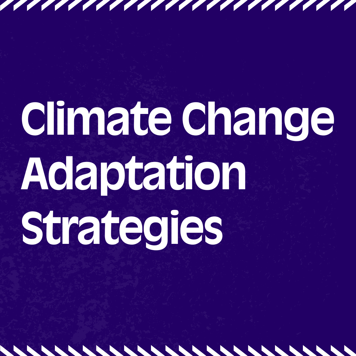 Climate Change Adaptation Strategies