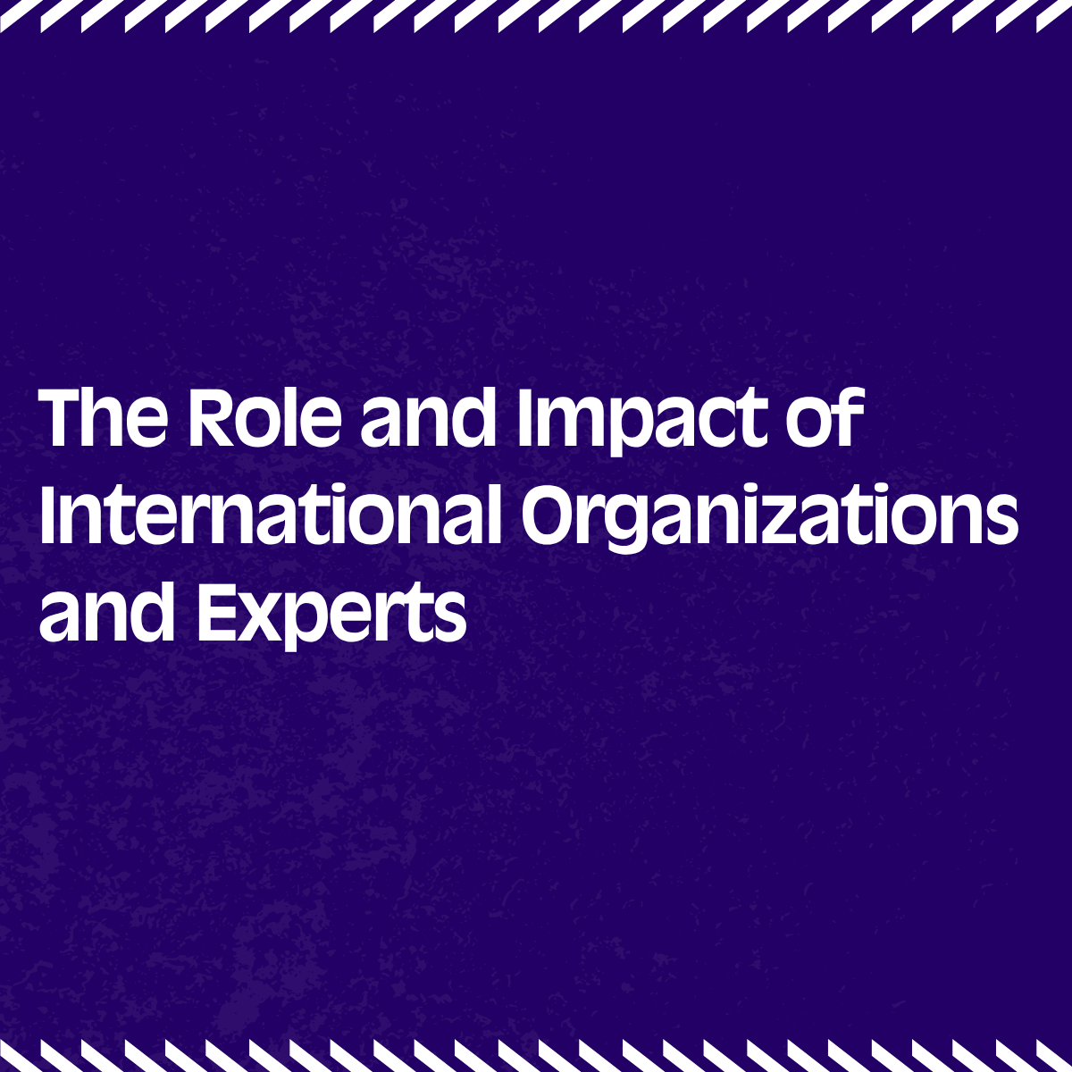 The Role and Impact of International Organizations and Experts