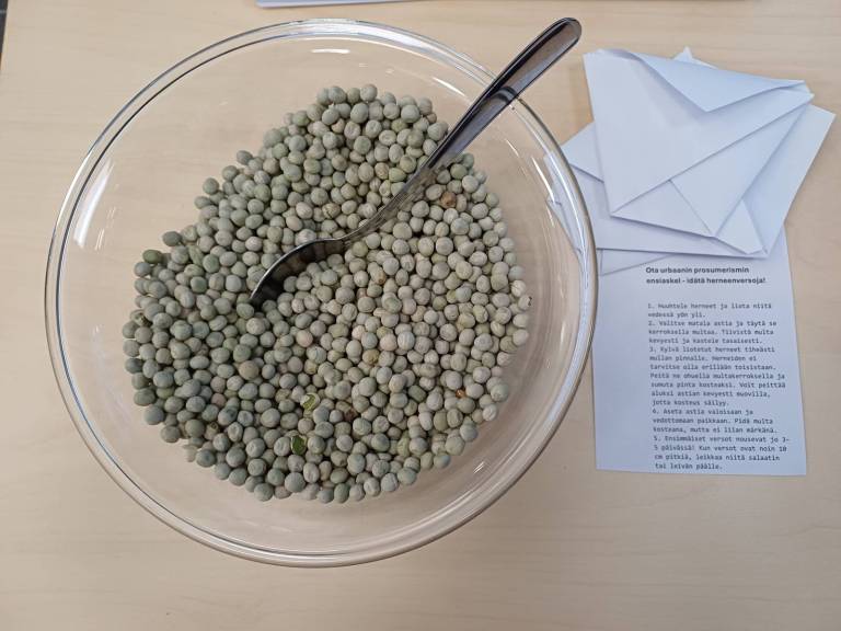 TAMKin konferenssiherneet. Kuva: Silja Kostia