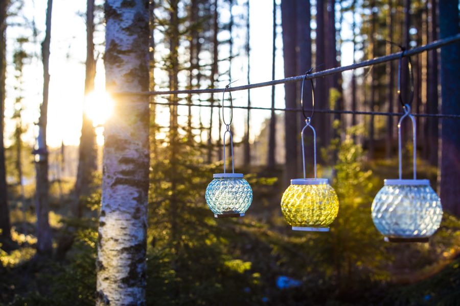 Lanterns in the forest
