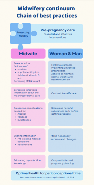 Pregnancy Planning  Pre-Pregnancy Health Care & Prep