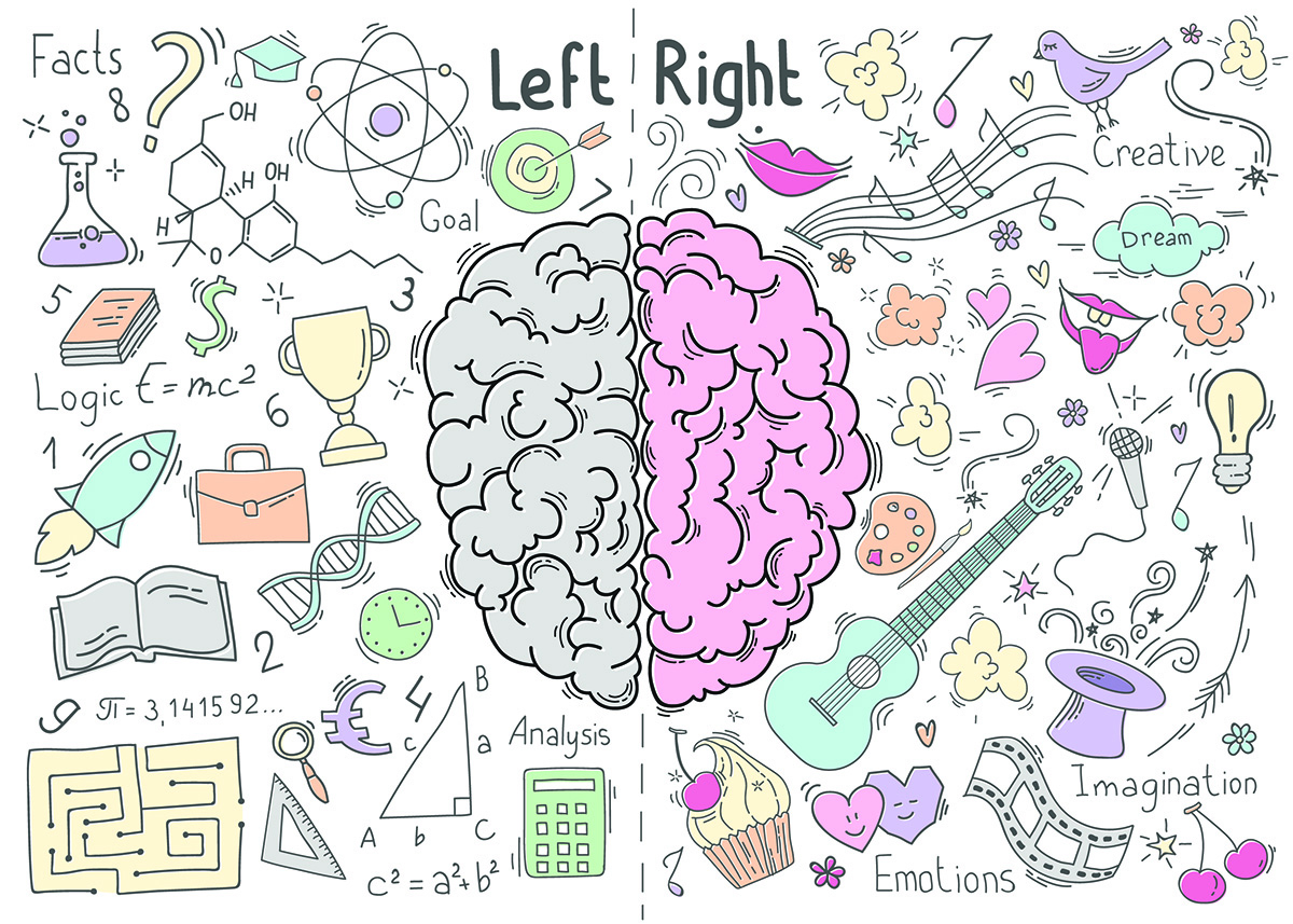 Värikäs piirroskuva aivoista, joiden toinen puoli on harmaa ja toinen vaaleanpunainen, englanninkielistä tekstiä molemmin puolin.