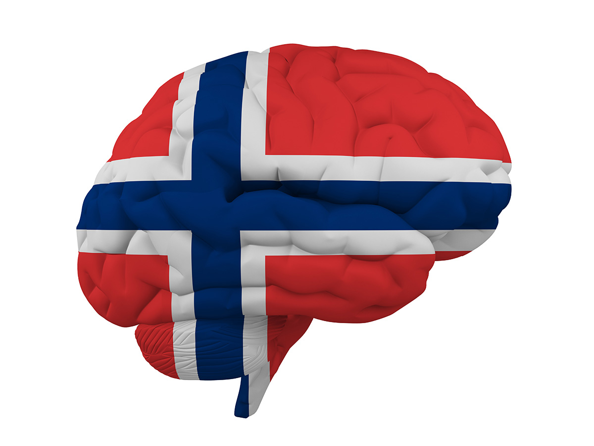Piirroskuva aivoista, jotka on väritetty Norjan lipulla.
