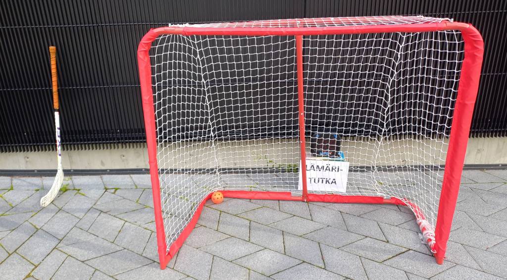 Picture of the hockey goal.