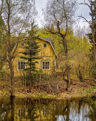 Keltainen talo metsän keskellä