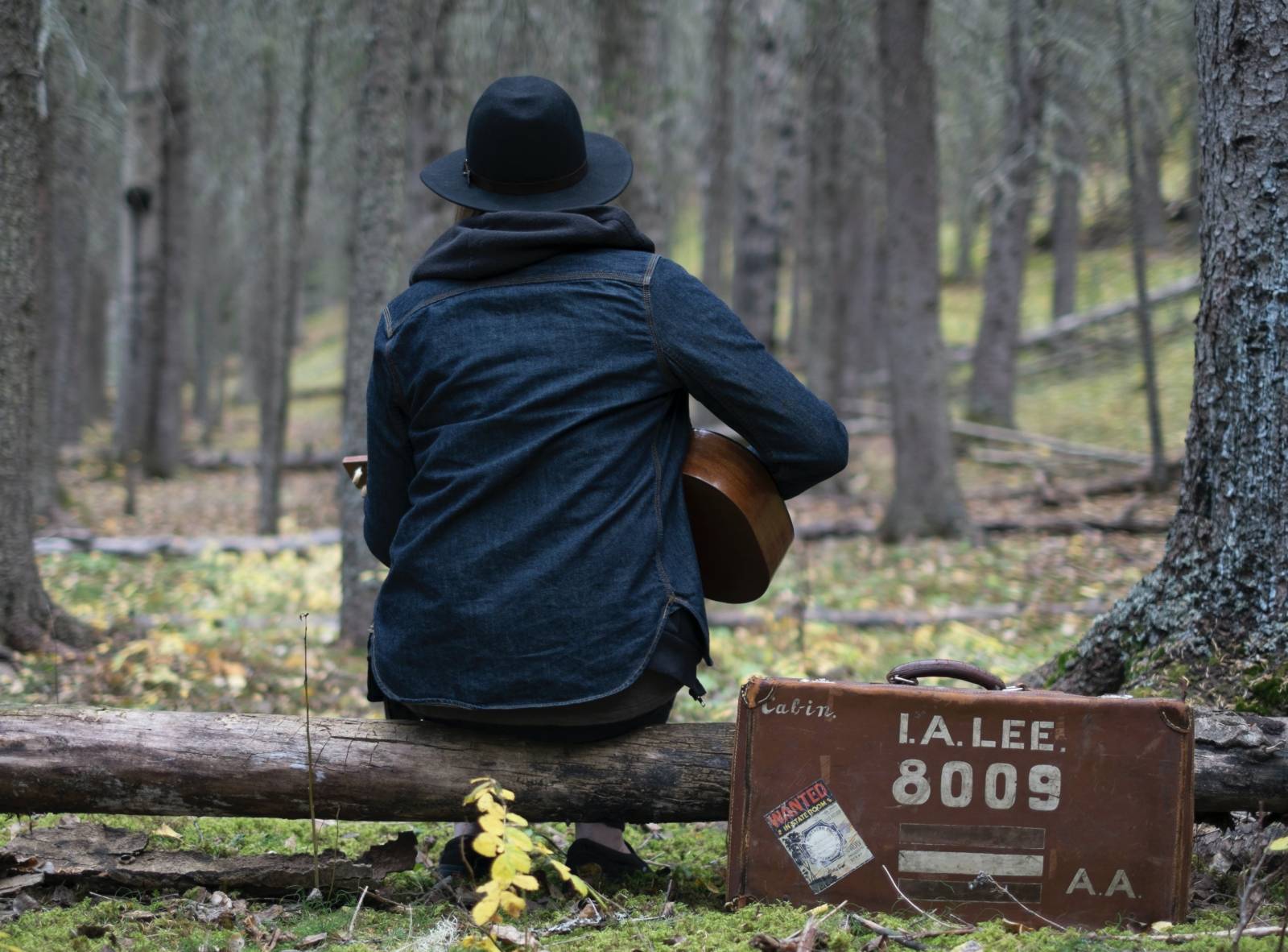 Kuvituskuva. Henkilö istuu puunrungolla metsässä kitaraa soittaen.