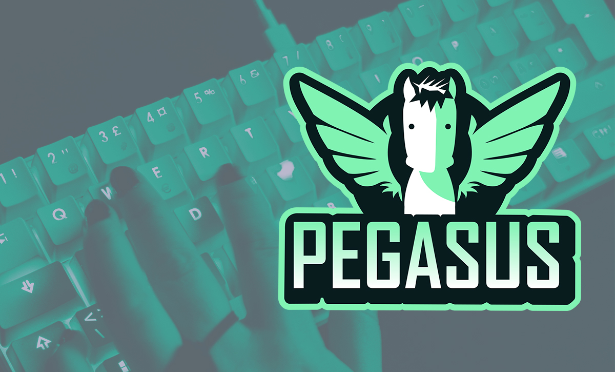 Background is a photo of a hand on a keyboard. In the foreground is the PEGASUS-project logo.